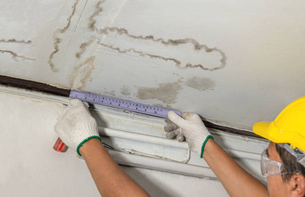 Reliable Mold Remediation contractor in Nederland, TX by Water Damage Irwin